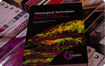 Lorem ipsum, can be used for free any where